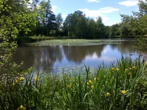 Circuit de l’Etang de la Brèche – 1/2 j ou 1 j avec pique-nique