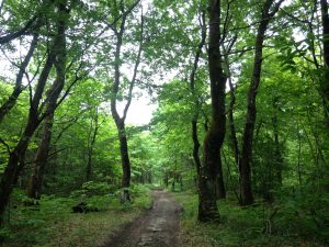 Circuit de Créve Coeur – 1 jour avec pique-nique