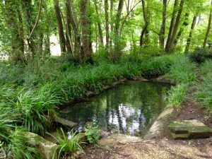 lavoir au Ris Bellot