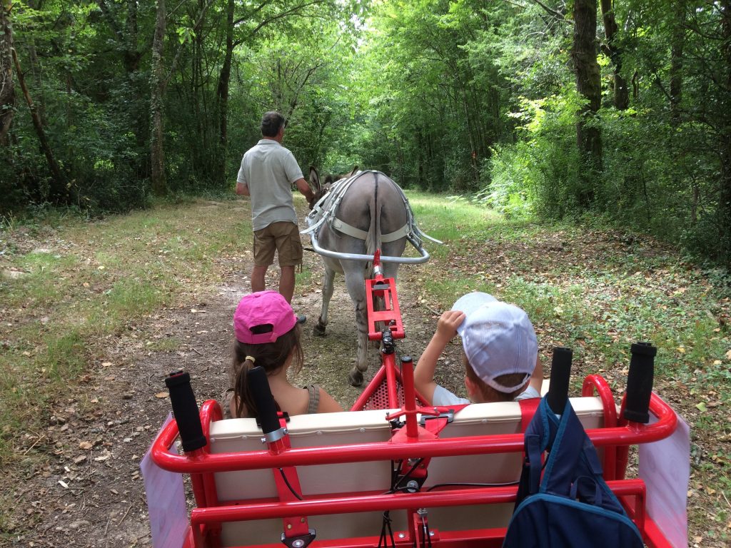 Escargoline et enfants