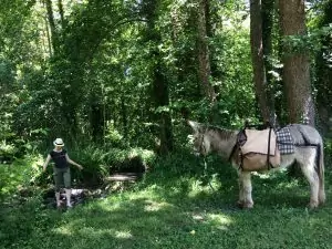 Aire du Petit Moulin