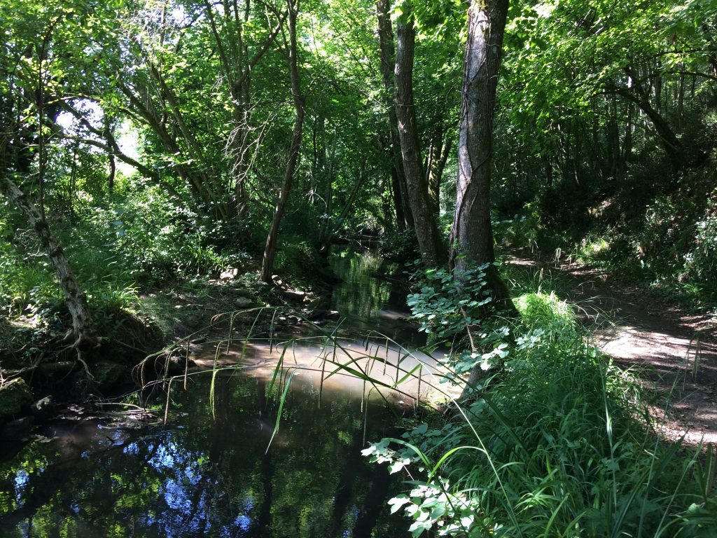 chemin et ruisseau Coran