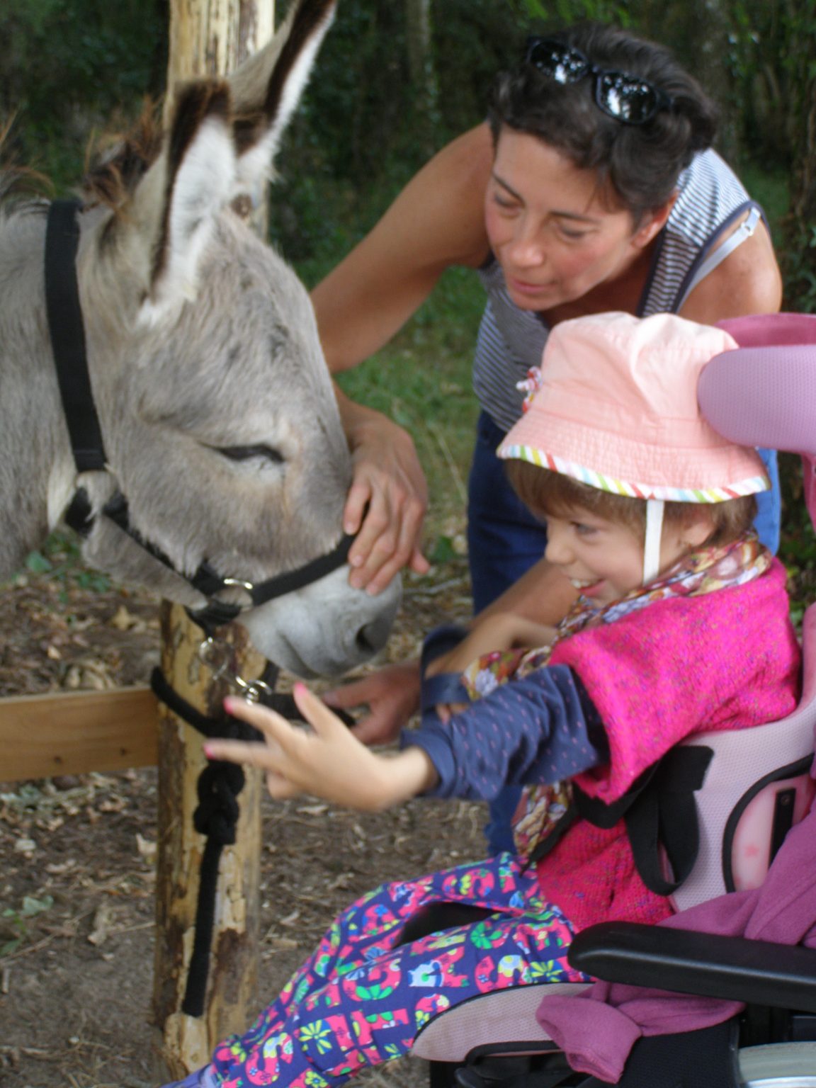 âne et enfant avec handicap