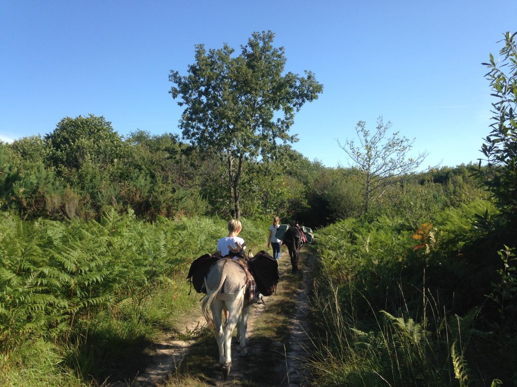 en chemin vers l'abbaye