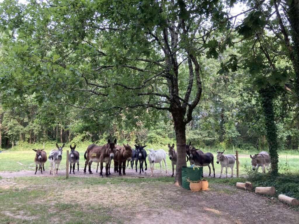 356647777_783250953803696_809979299756098956_n