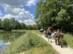 Circuit de l&rsquo;aire naturelle de l&rsquo;&eacute;tang de la Br&egrave;che &ndash; 1/2 j ou 1 j avec pique-nique