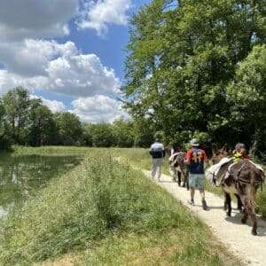 Circuit de l'aire naturelle de l'étang de la Brèche - 1/2 j ou 1 j avec pique-nique